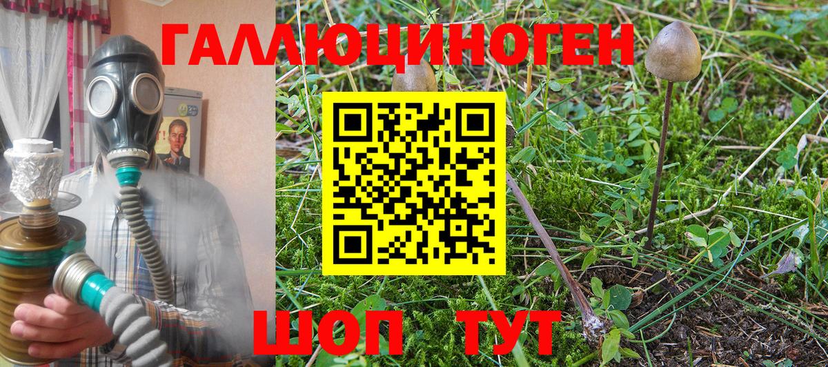 Галлюциногенные грибы Psilocybine cubensis Верхняя Салда