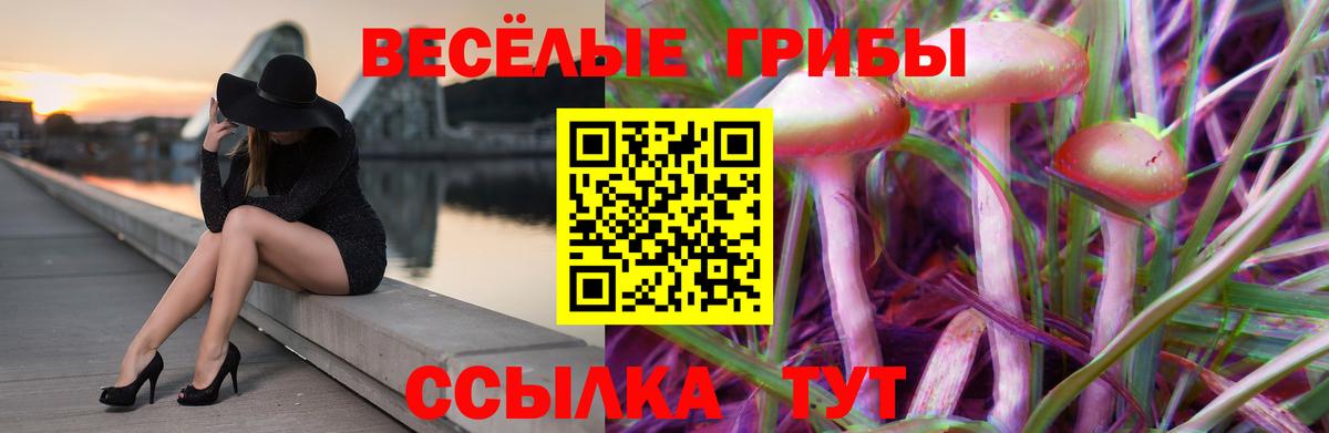 Псилоцибиновые грибы прущие грибы  Вход с VPN  Верхняя Салда 